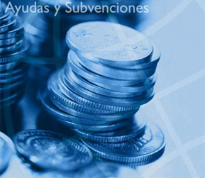 Ayudas y subvenciones